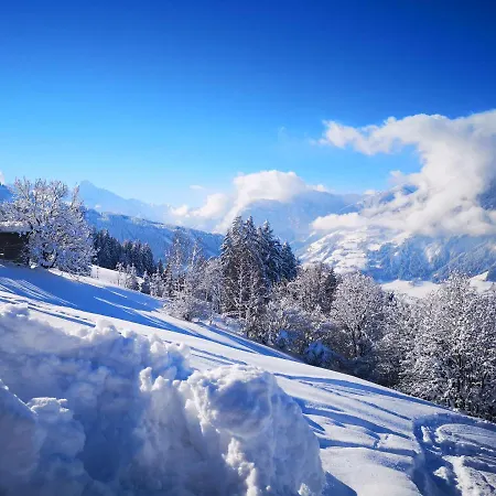 Appartement Franz Zell am Ziller Exterior photo